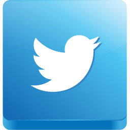 Twitter icon