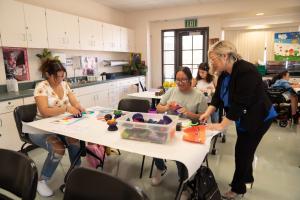 Professor Heather Hammond-Williams facilitating group activity 